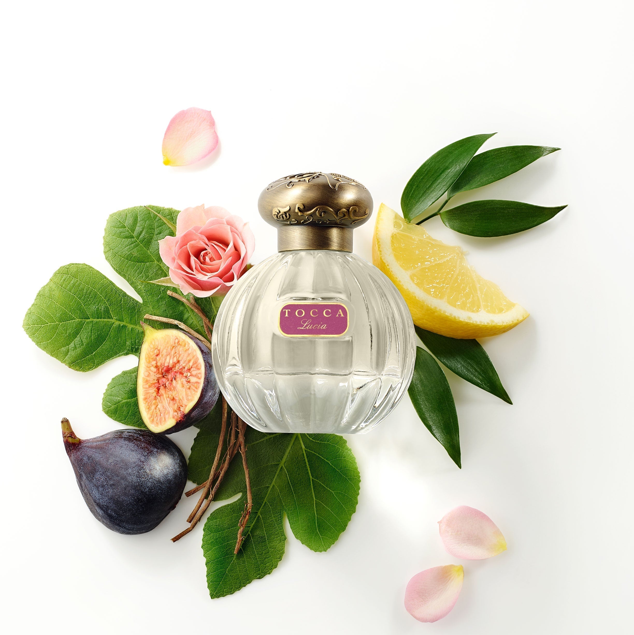 Tocca deals Perfume